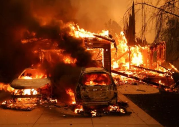 Penyebab Kebakaran Hutan di Los Angeles